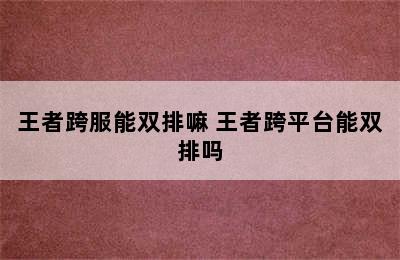 王者跨服能双排嘛 王者跨平台能双排吗